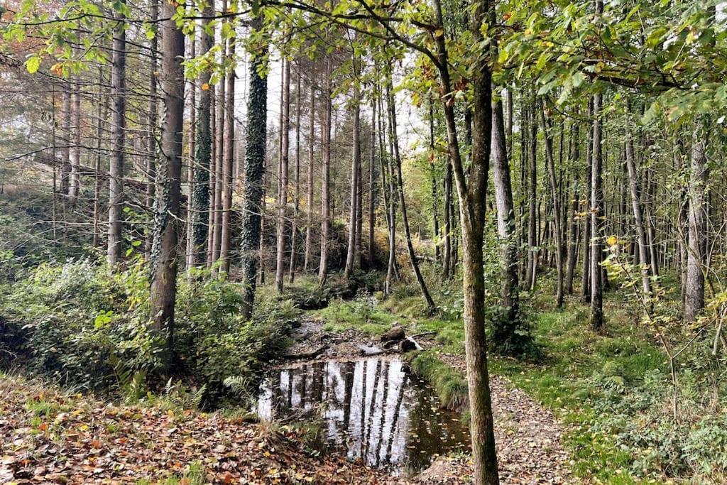 Forest Retreat- Serene 160M2 With Forest Views Вермельскірхен Екстер'єр фото