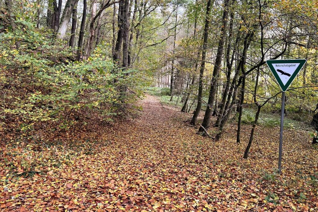 Forest Retreat- Serene 160M2 With Forest Views Вермельскірхен Екстер'єр фото